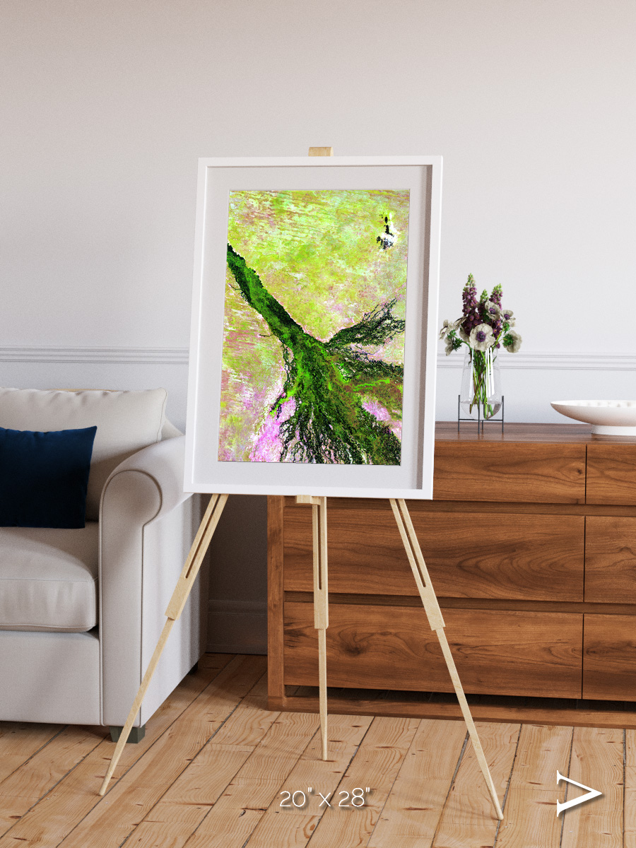 Inland Bloom, Okavango Framed & Mounted Print