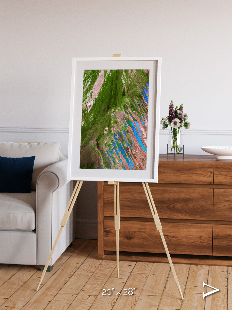 Desert Bloom, Lake Eyre Basin Framed & Mounted Print