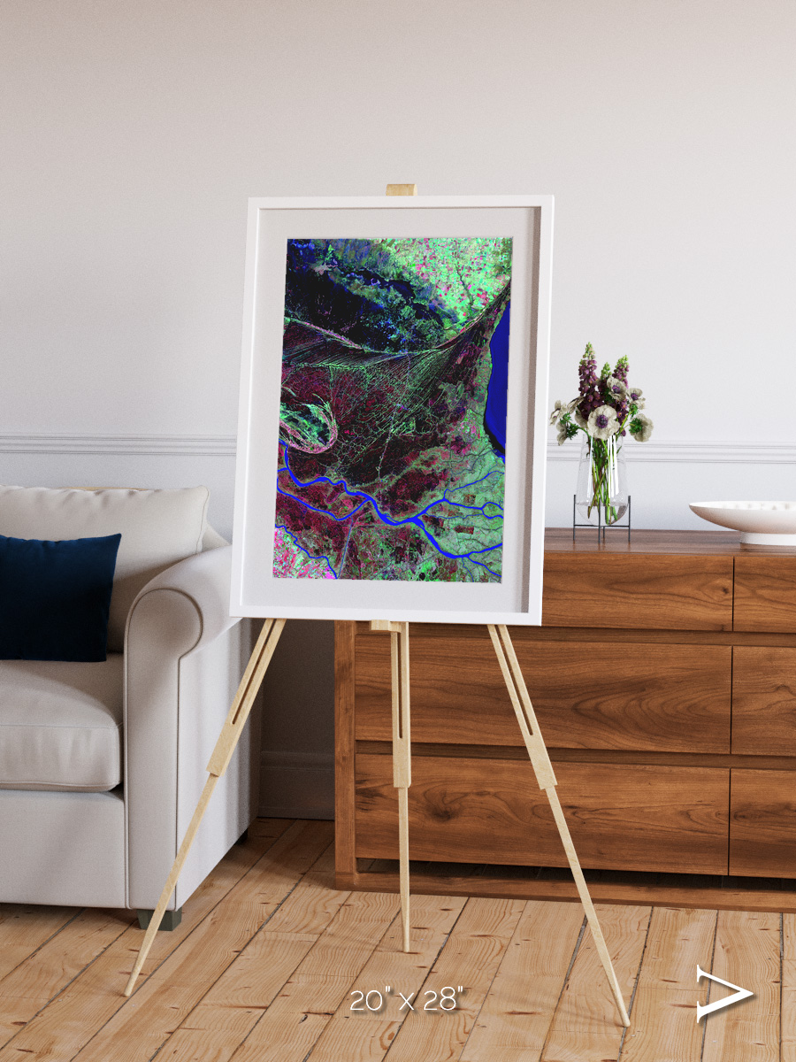 Braided Delta, Parana River Delta Framed & Mounted Print