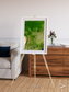 Ribbon River, South America Framed & Mounted Print