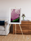 Monsoon Divide, Dhofar Framed & Mounted Print