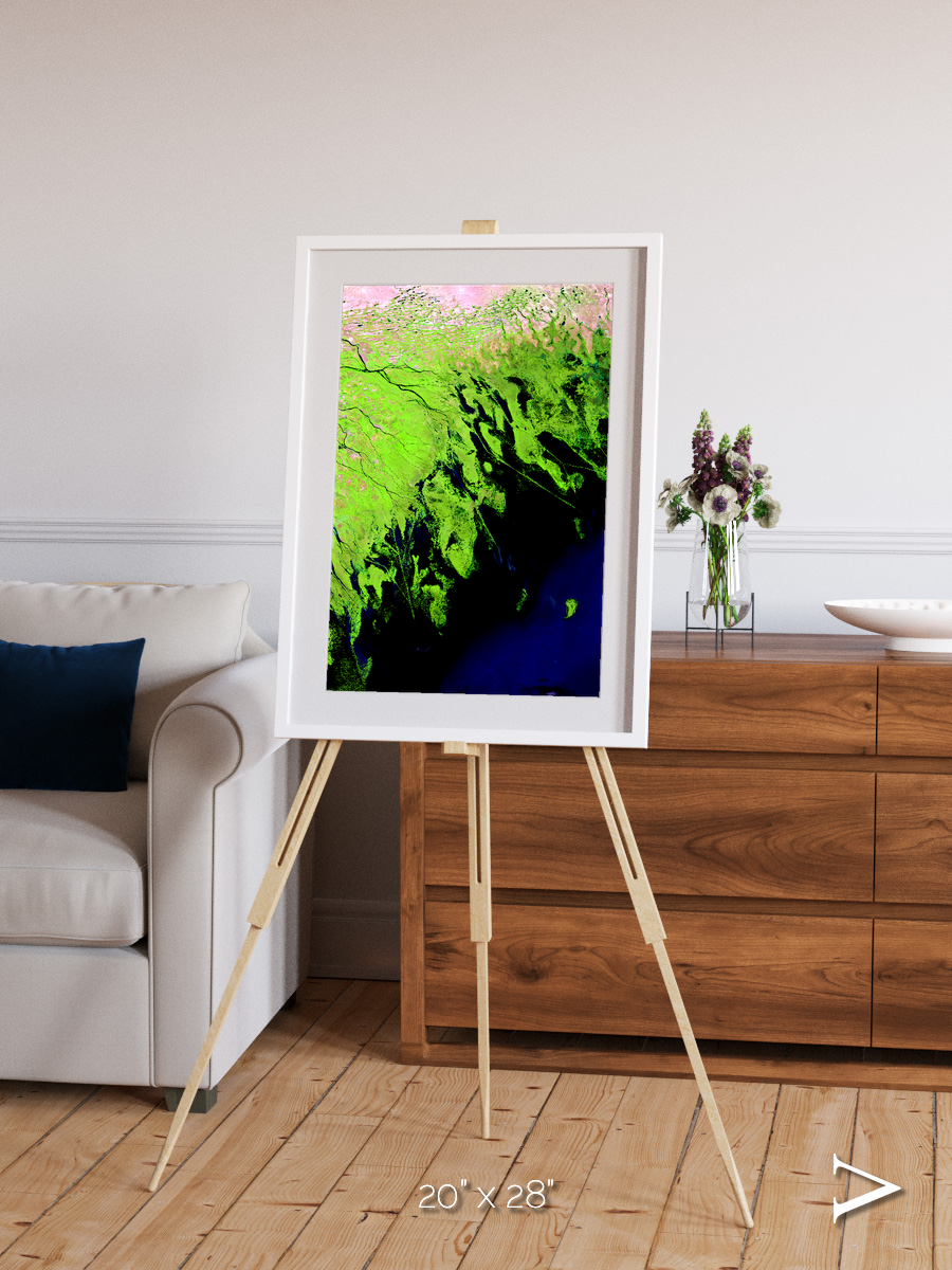 Delta Mosaic, Volga River Delta Framed & Mounted Print