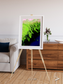 Delta Mosaic, Volga River Delta Framed & Mounted Print