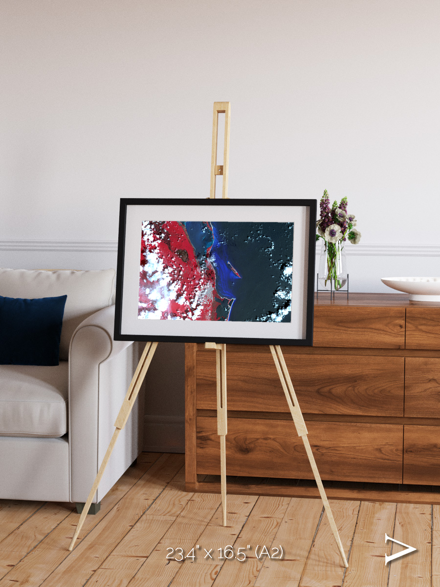 Living Edge, Cancun Framed & Mounted Print