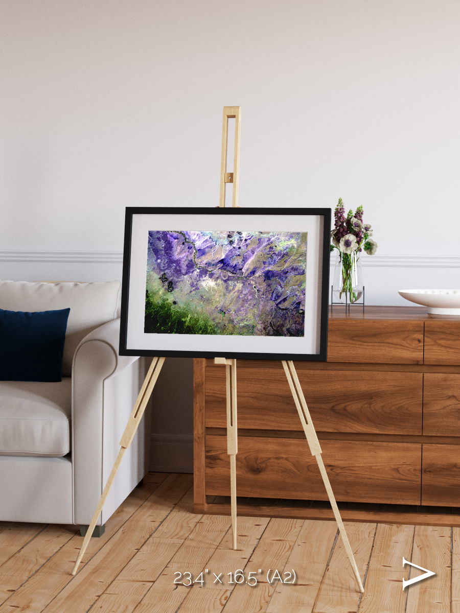 Arid Mosaic, Desert to Forest Framed & Mounted Print