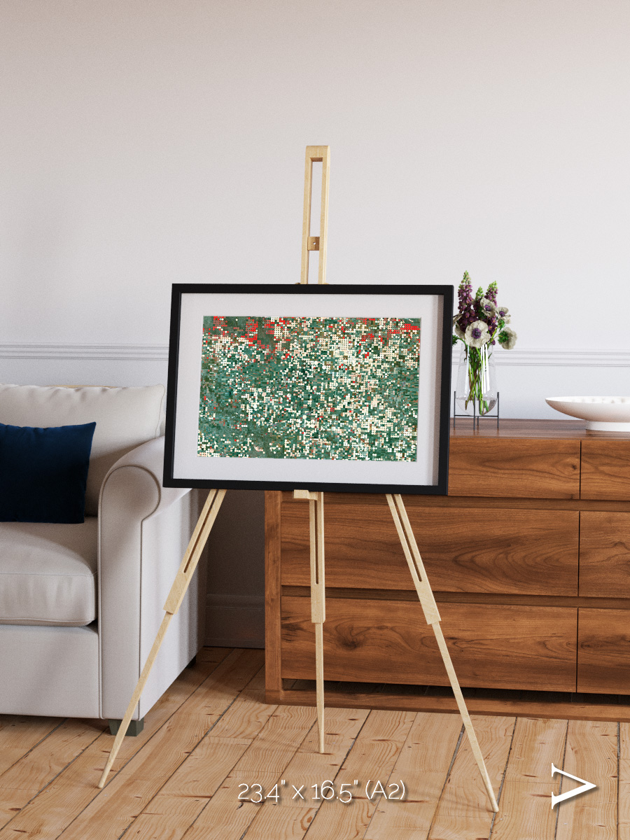 Patterns of Growth, Garden City Framed & Mounted Print