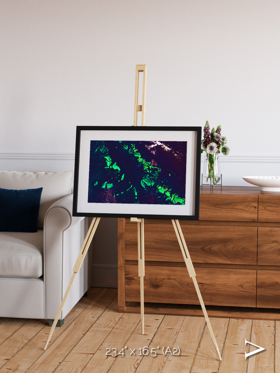 Patterned Ground, Great Barrier Reef Framed & Mounted Print