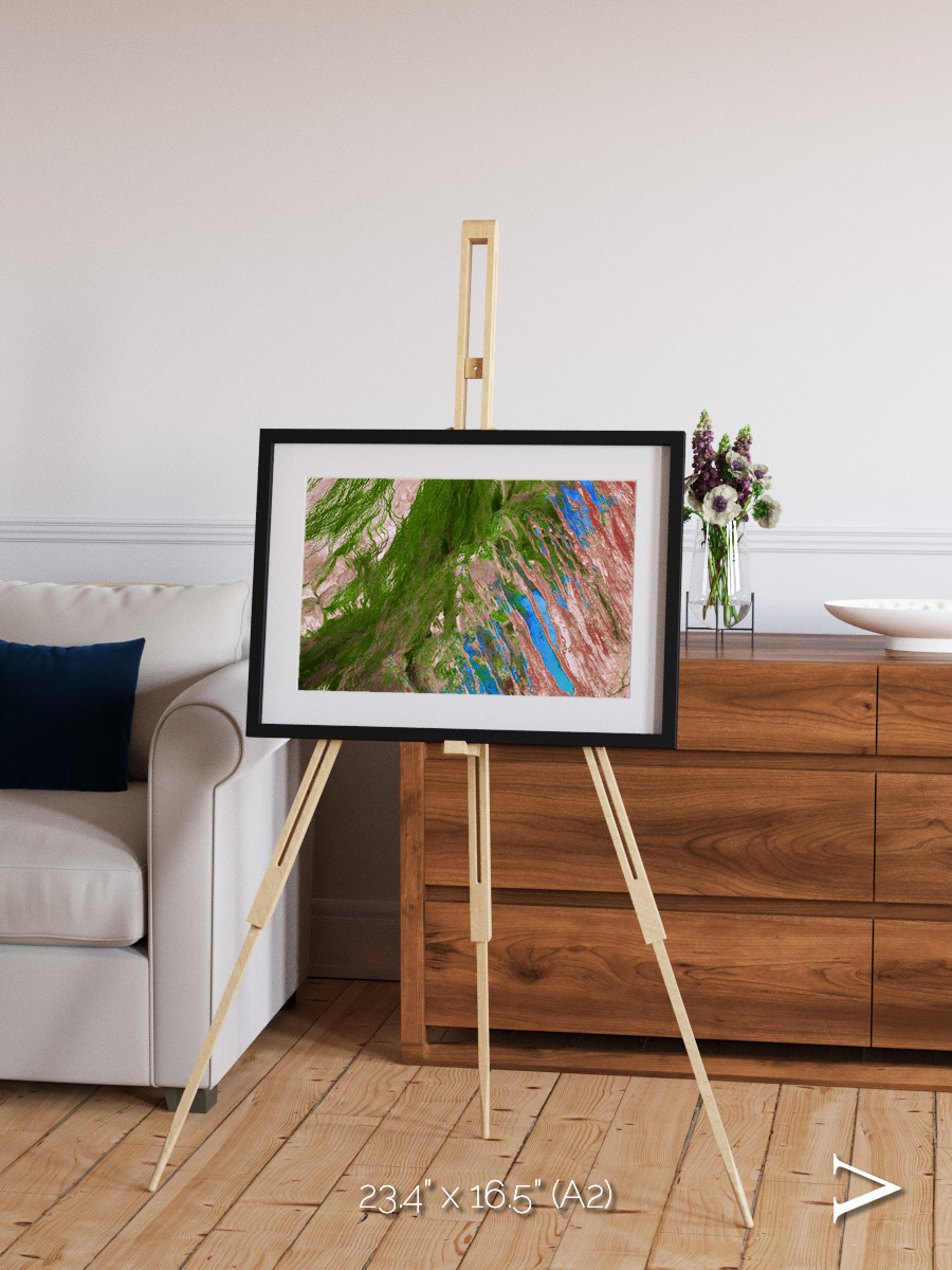 Desert Bloom, Lake Eyre Basin Framed & Mounted Print