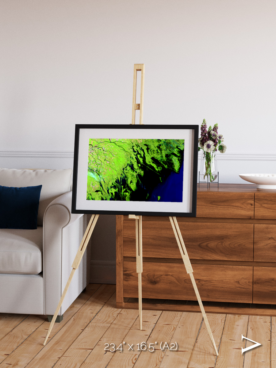 Delta Mosaic, Volga River Delta Framed & Mounted Print