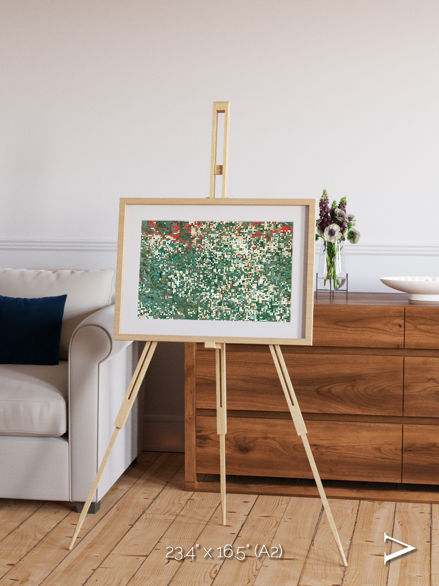 Patterns of Growth, Garden City Framed & Mounted Print