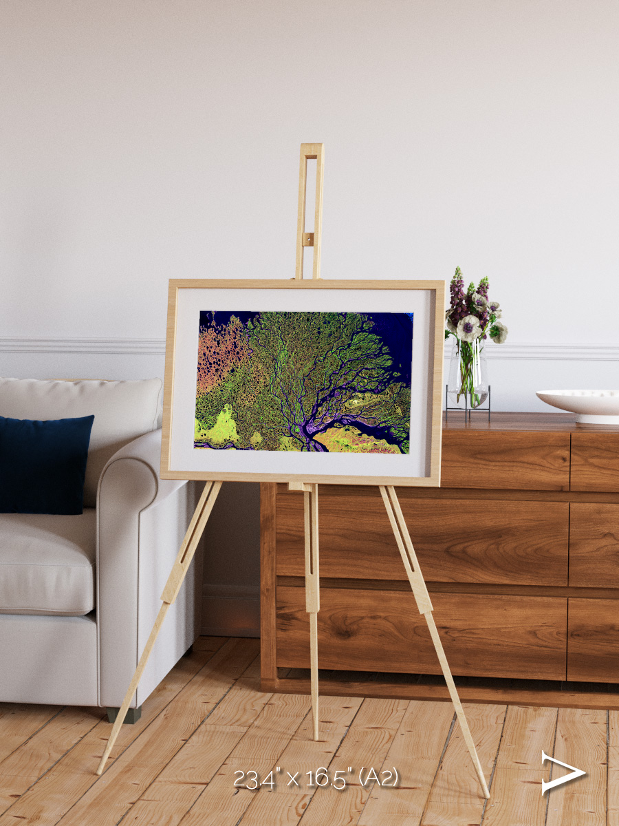 Delta Mosaic, Lena Delta Framed & Mounted Print