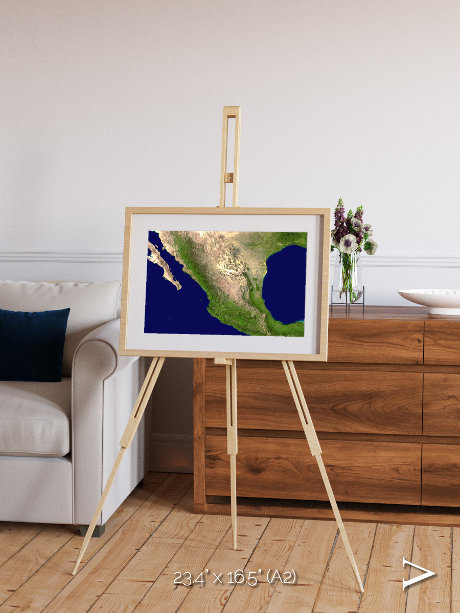 Windwritten Sands, Mexico and Central America Framed & Mounted Print