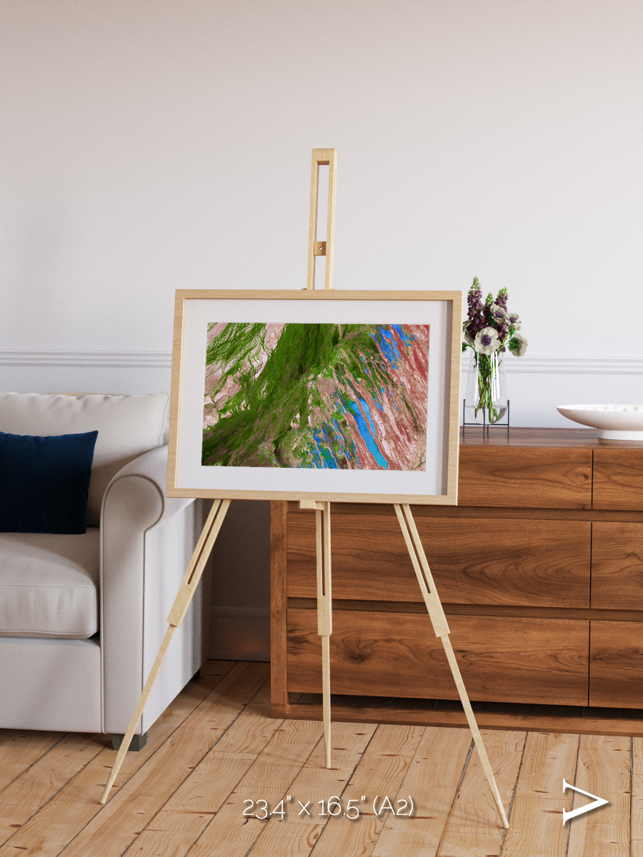 Desert Bloom, Lake Eyre Basin Framed & Mounted Print