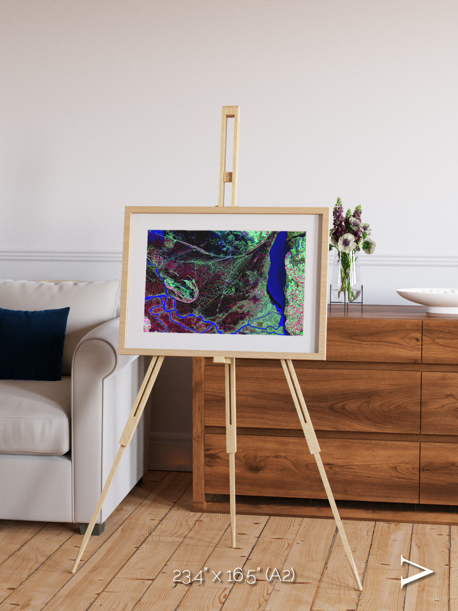 Braided Delta, Parana River Delta Framed & Mounted Print