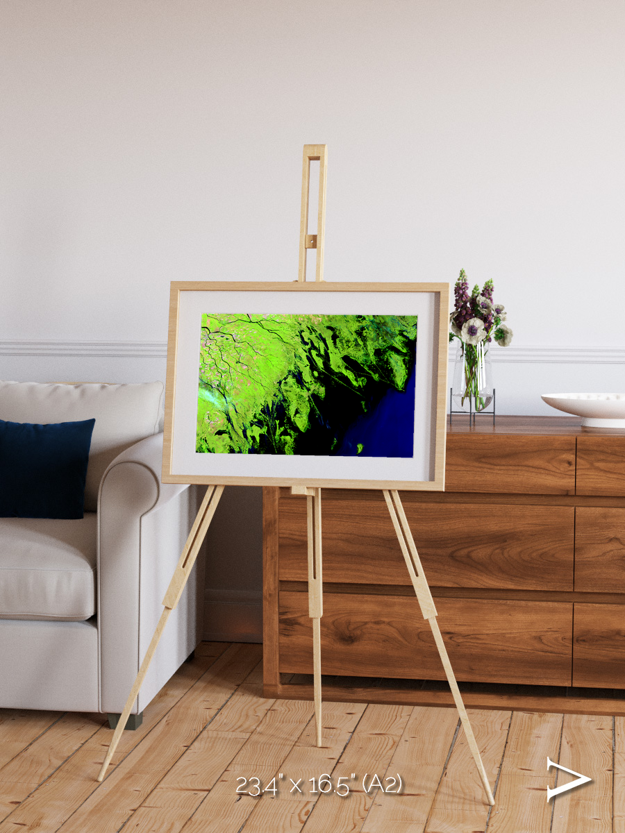 Delta Mosaic, Volga River Delta Framed & Mounted Print