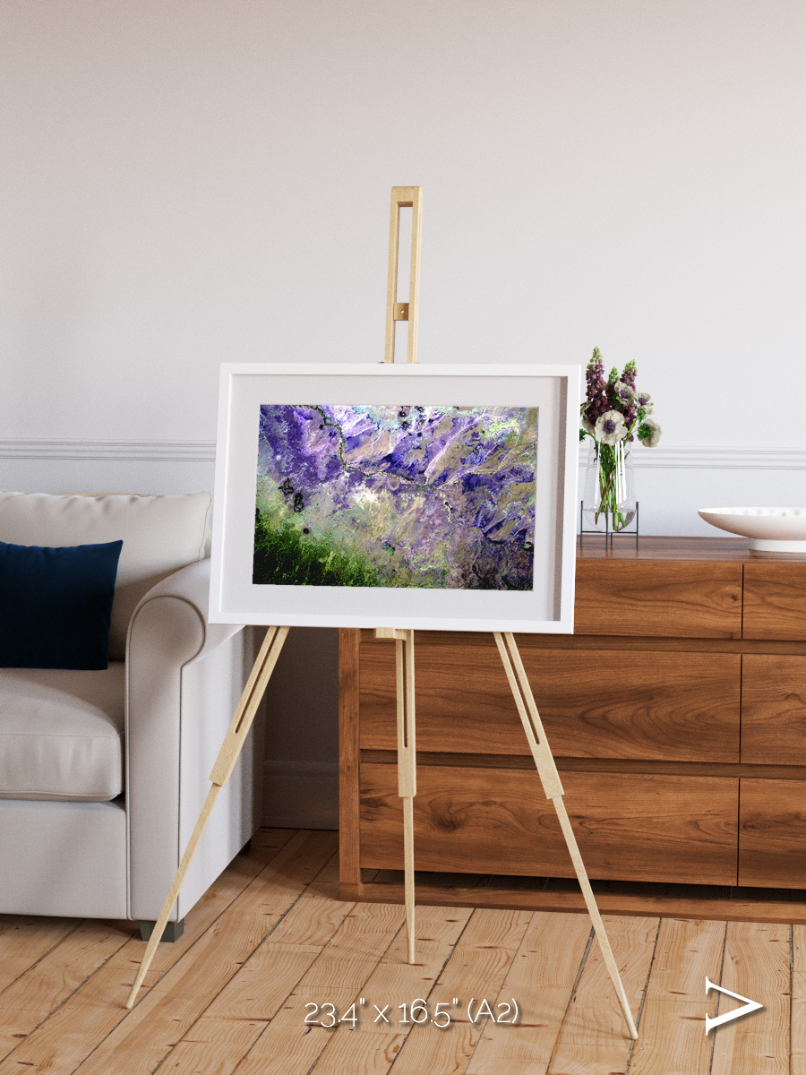 Arid Mosaic, Desert to Forest Framed & Mounted Print