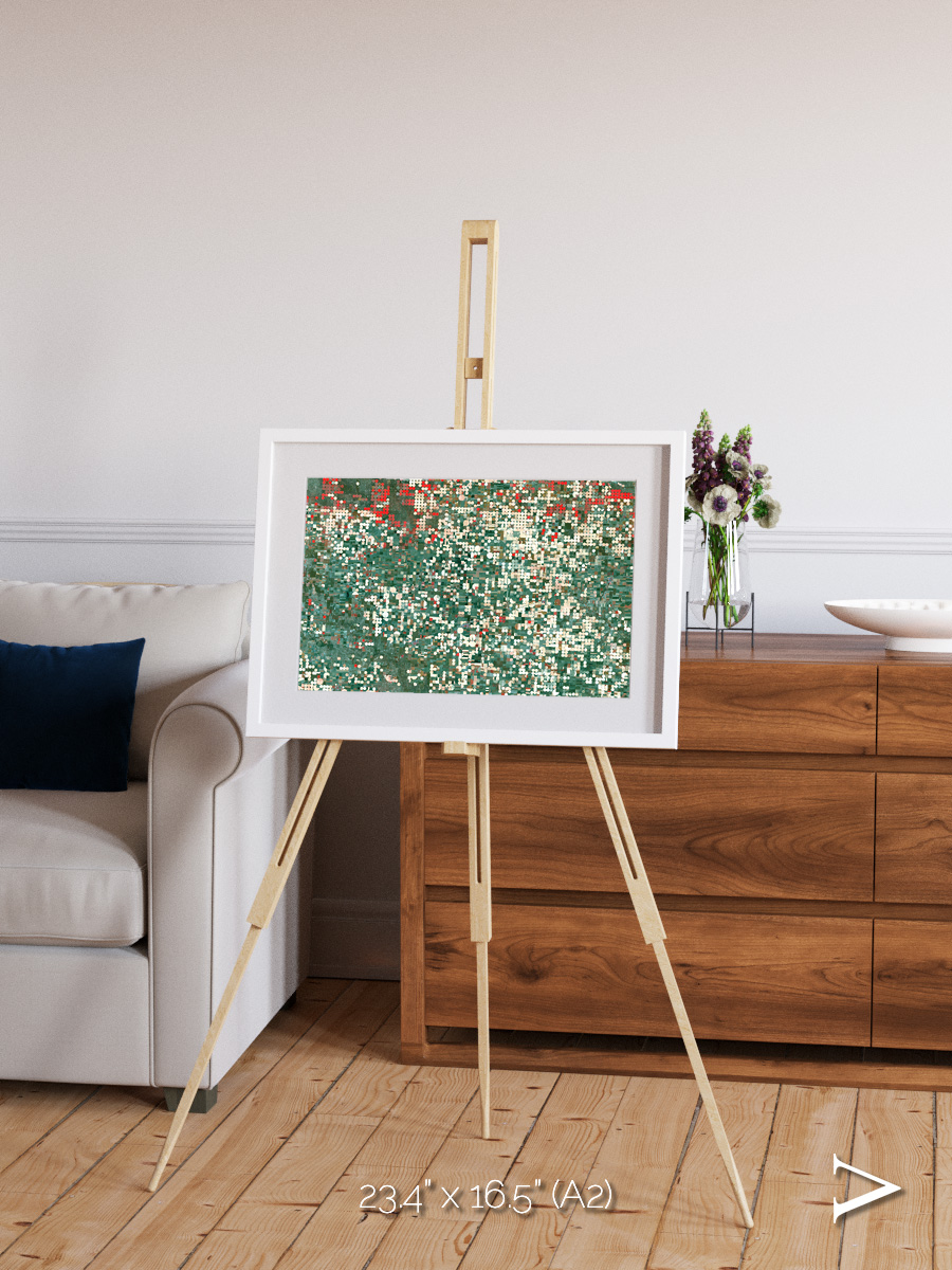 Patterns of Growth, Garden City Framed & Mounted Print