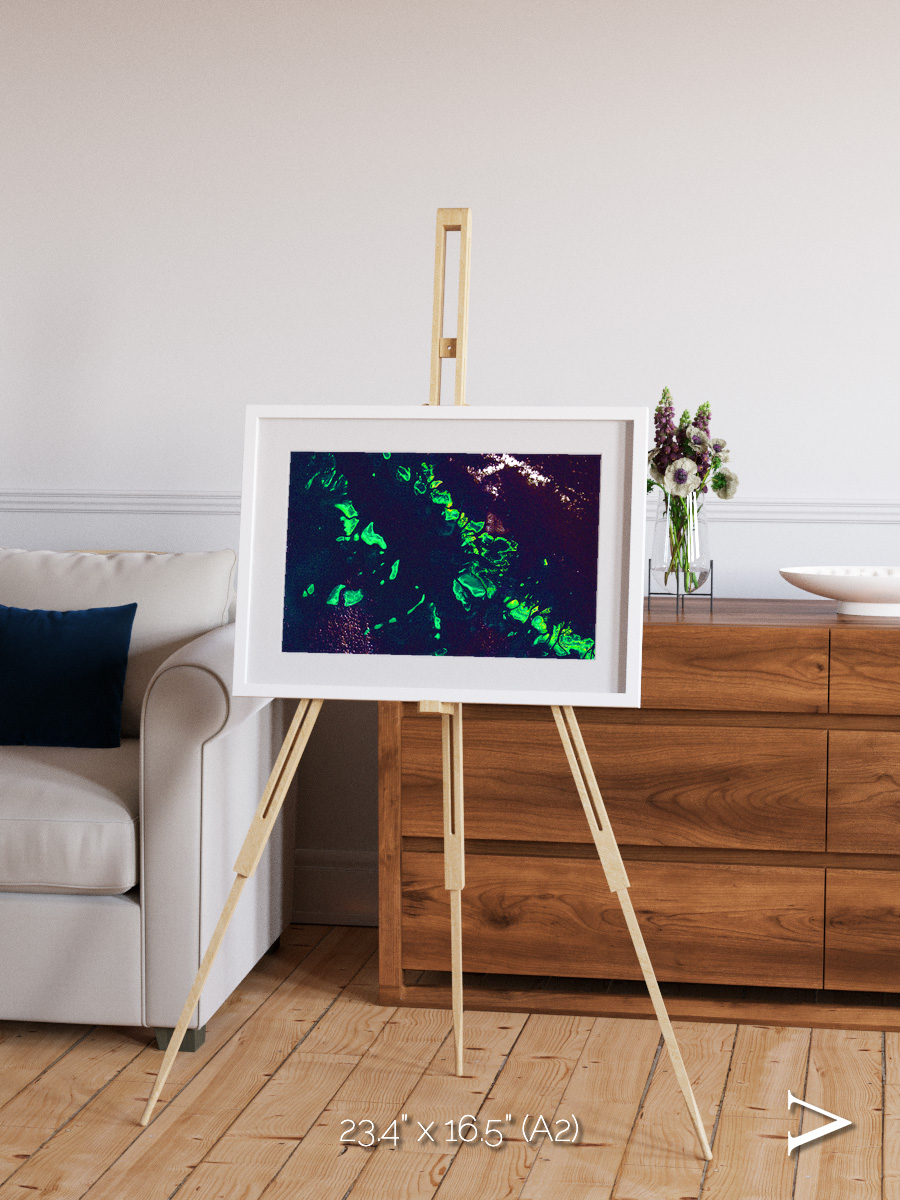 Patterned Ground, Great Barrier Reef Framed & Mounted Print