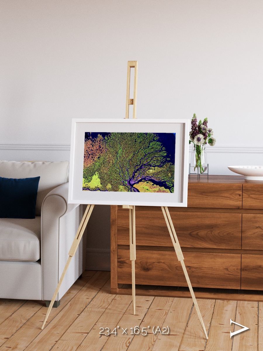 Delta Mosaic, Lena Delta Framed & Mounted Print