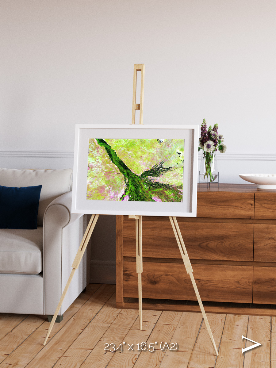 Inland Bloom, Okavango Framed & Mounted Print