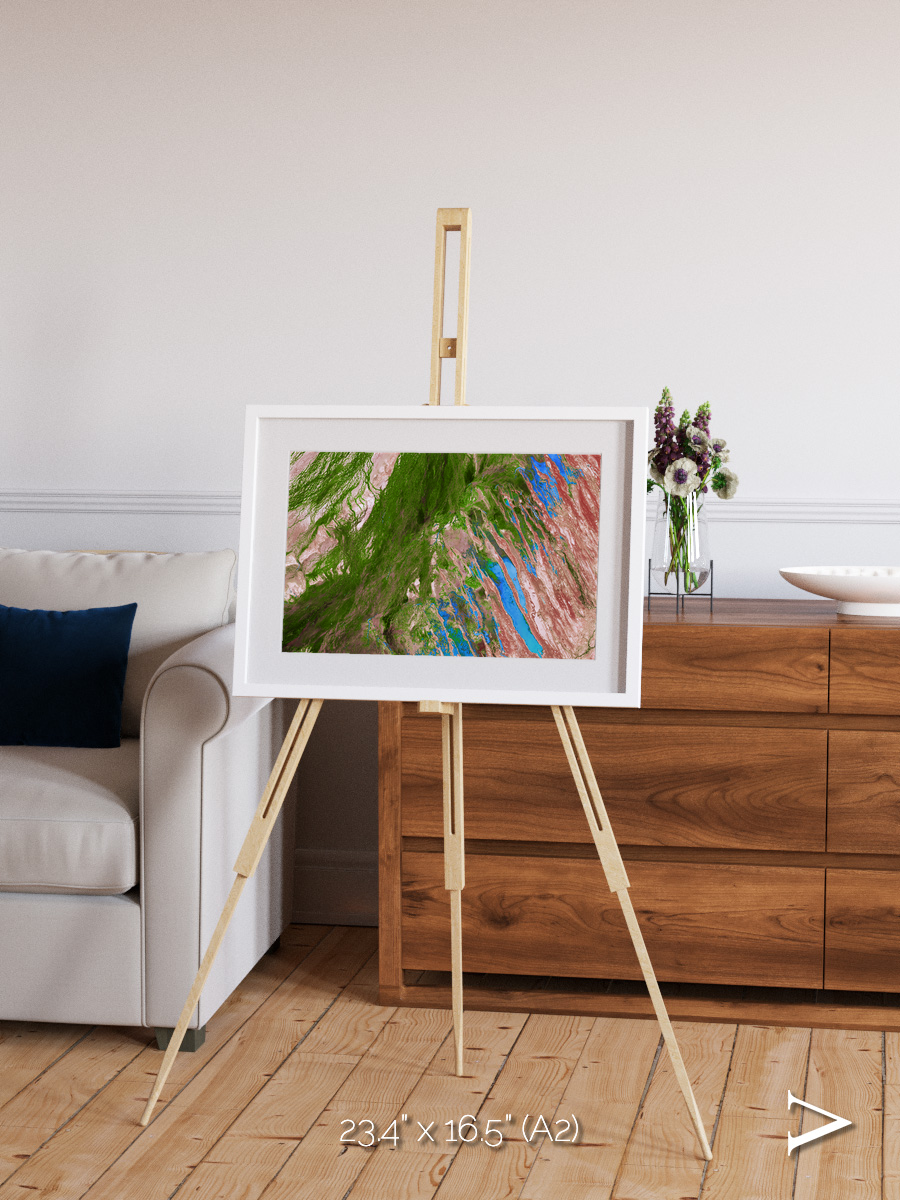 Desert Bloom, Lake Eyre Basin Framed & Mounted Print