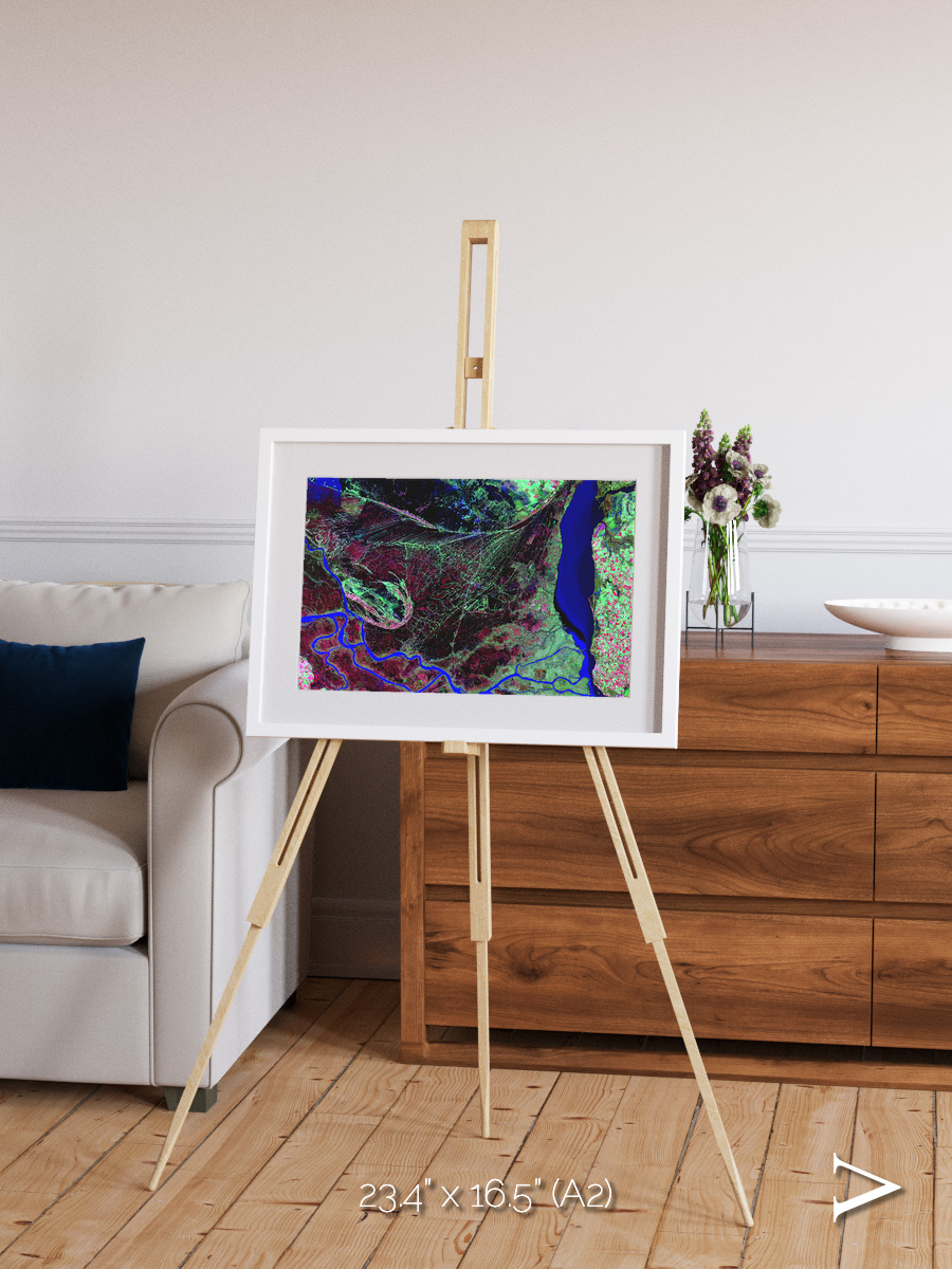 Braided Delta, Parana River Delta Framed & Mounted Print