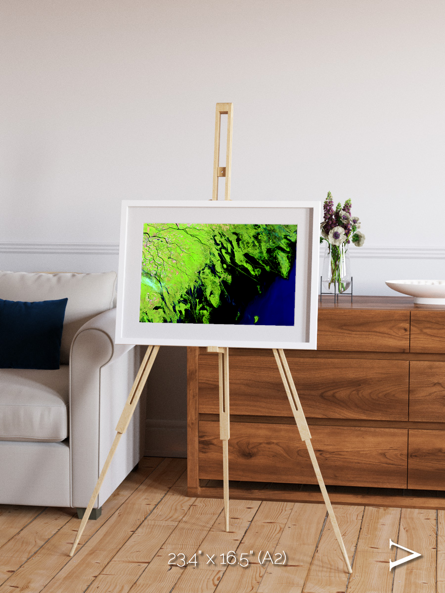 Delta Mosaic, Volga River Delta Framed & Mounted Print