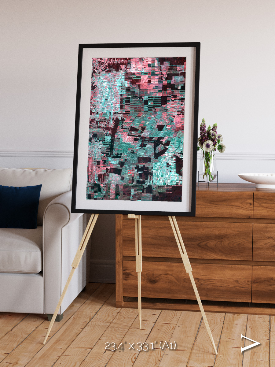 Fractured Canopy, Bolivia Framed & Mounted Print