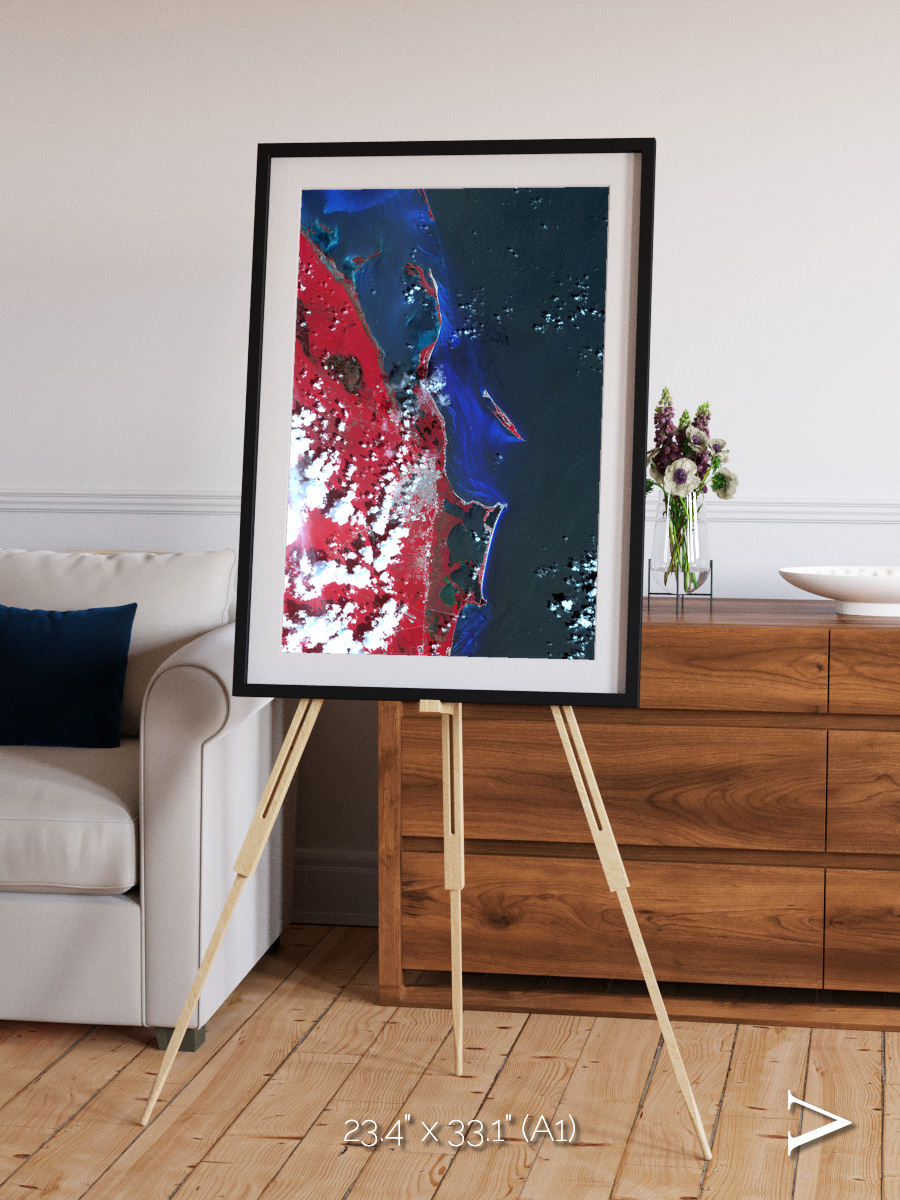 Living Edge, Cancun Framed & Mounted Print