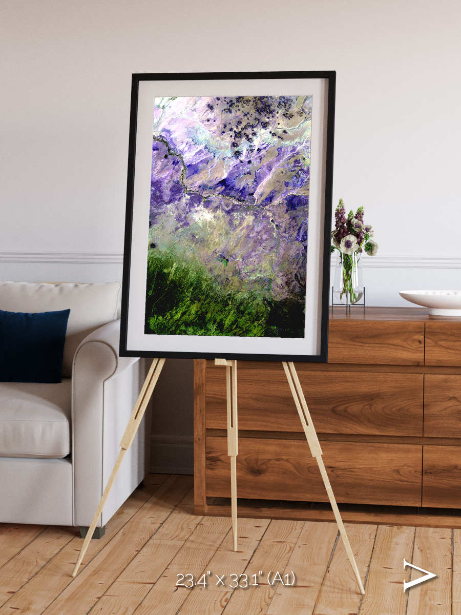 Arid Mosaic, Desert to Forest Framed & Mounted Print