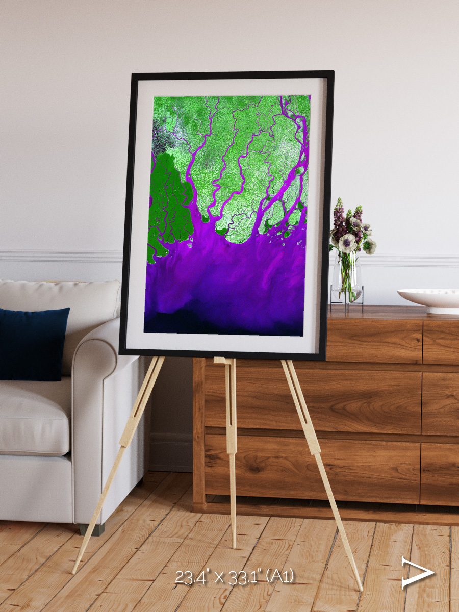 Delta Mosaic, Ganges River Delta Framed & Mounted Print