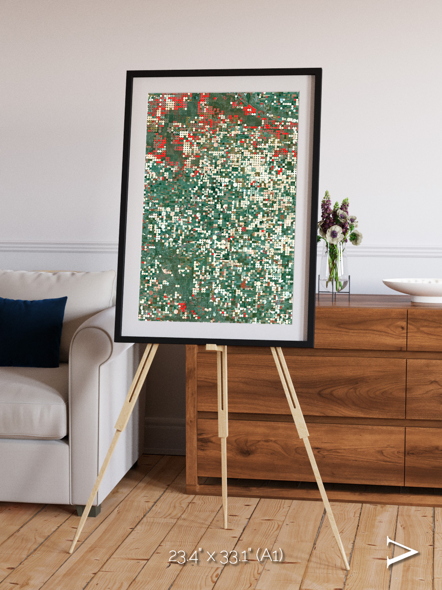 Patterns of Growth, Garden City Framed & Mounted Print