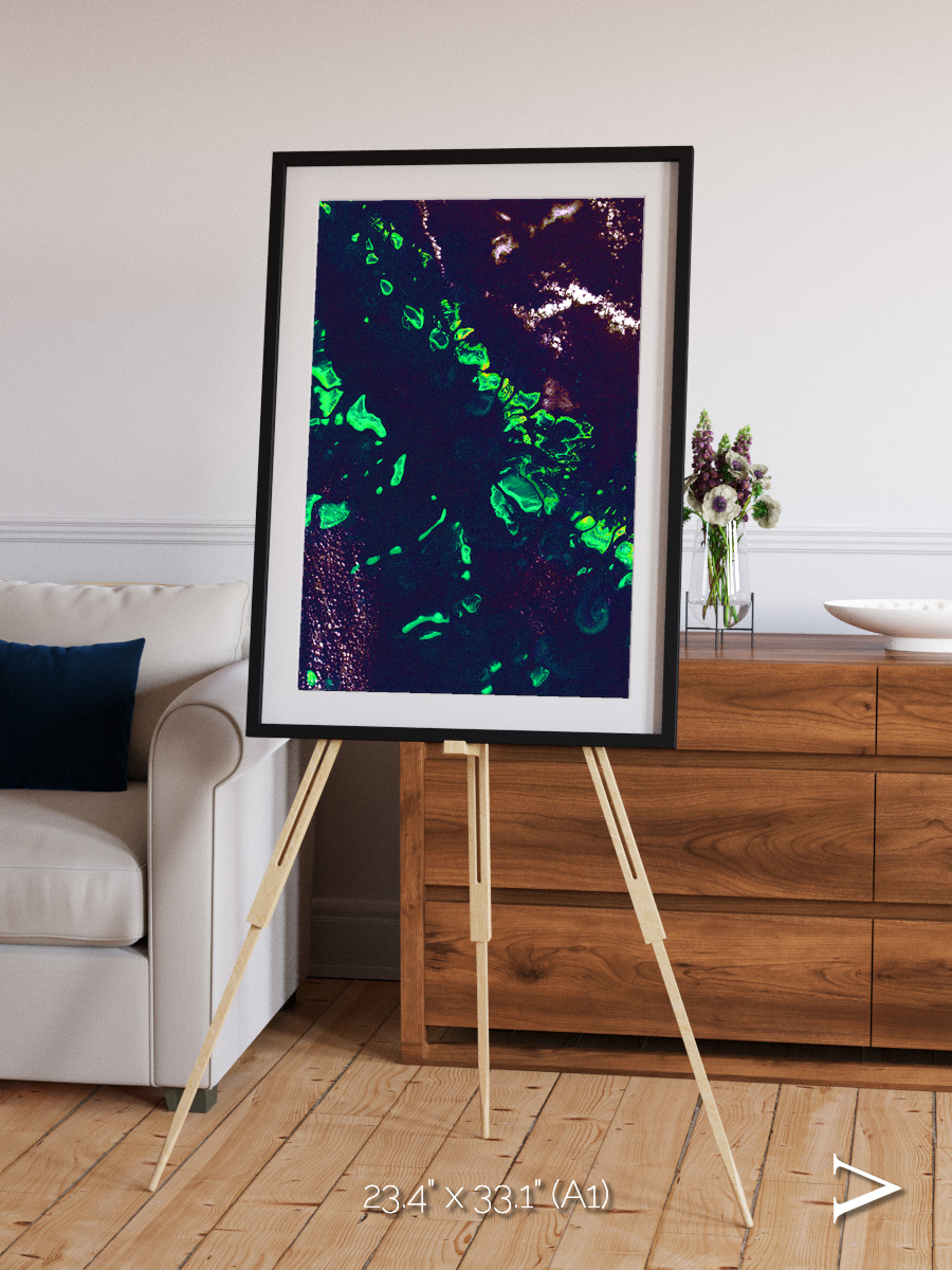 Patterned Ground, Great Barrier Reef Framed & Mounted Print