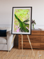 Inland Bloom, Okavango Framed & Mounted Print