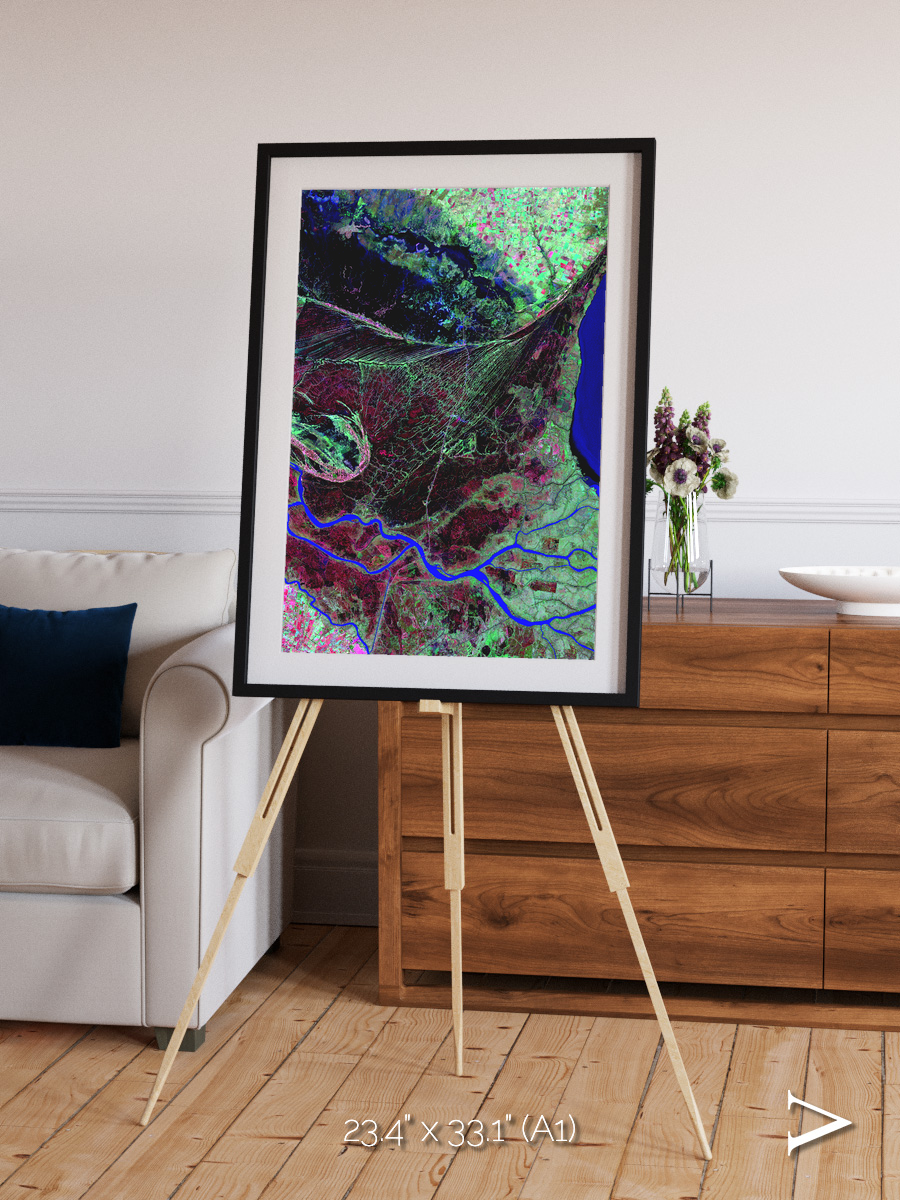 Braided Delta, Parana River Delta Framed & Mounted Print