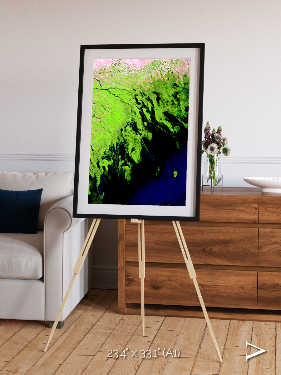 Delta Mosaic, Volga River Delta Framed & Mounted Print