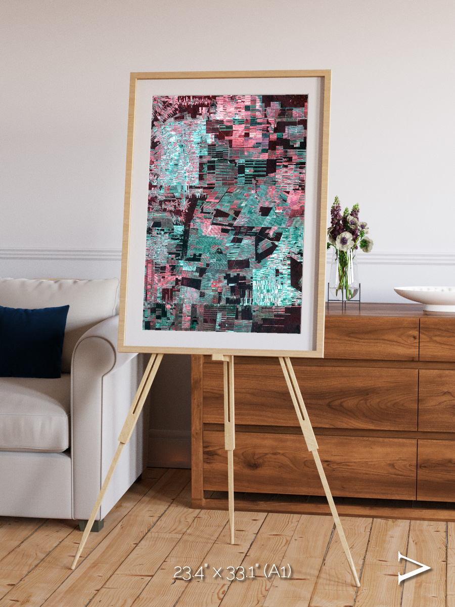 Fractured Canopy, Bolivia Framed & Mounted Print