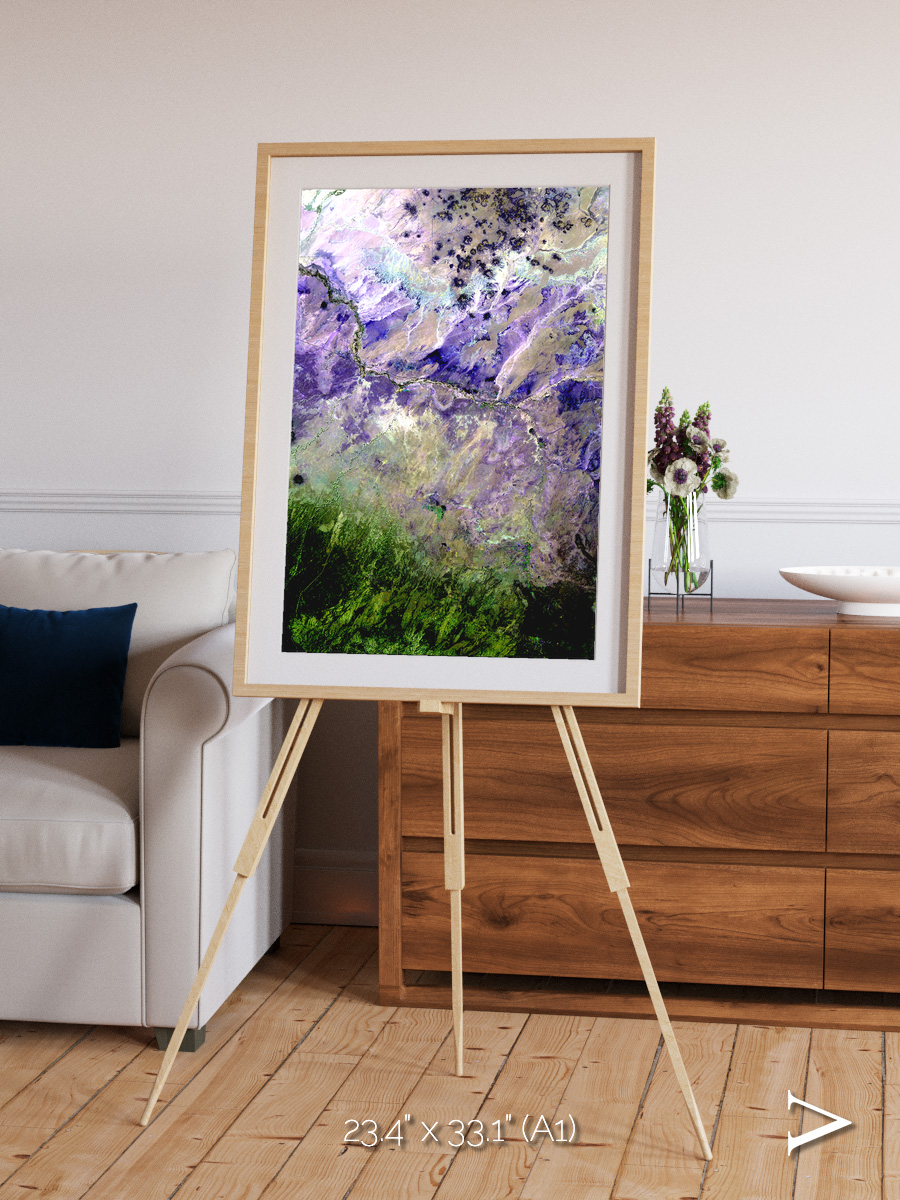 Arid Mosaic, Desert to Forest Framed & Mounted Print