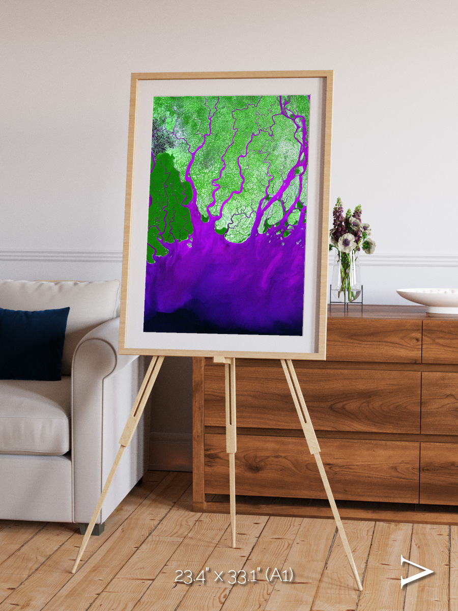 Delta Mosaic, Ganges River Delta Framed & Mounted Print