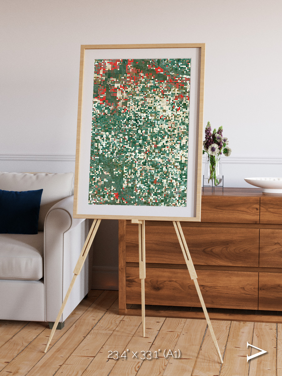 Patterns of Growth, Garden City Framed & Mounted Print