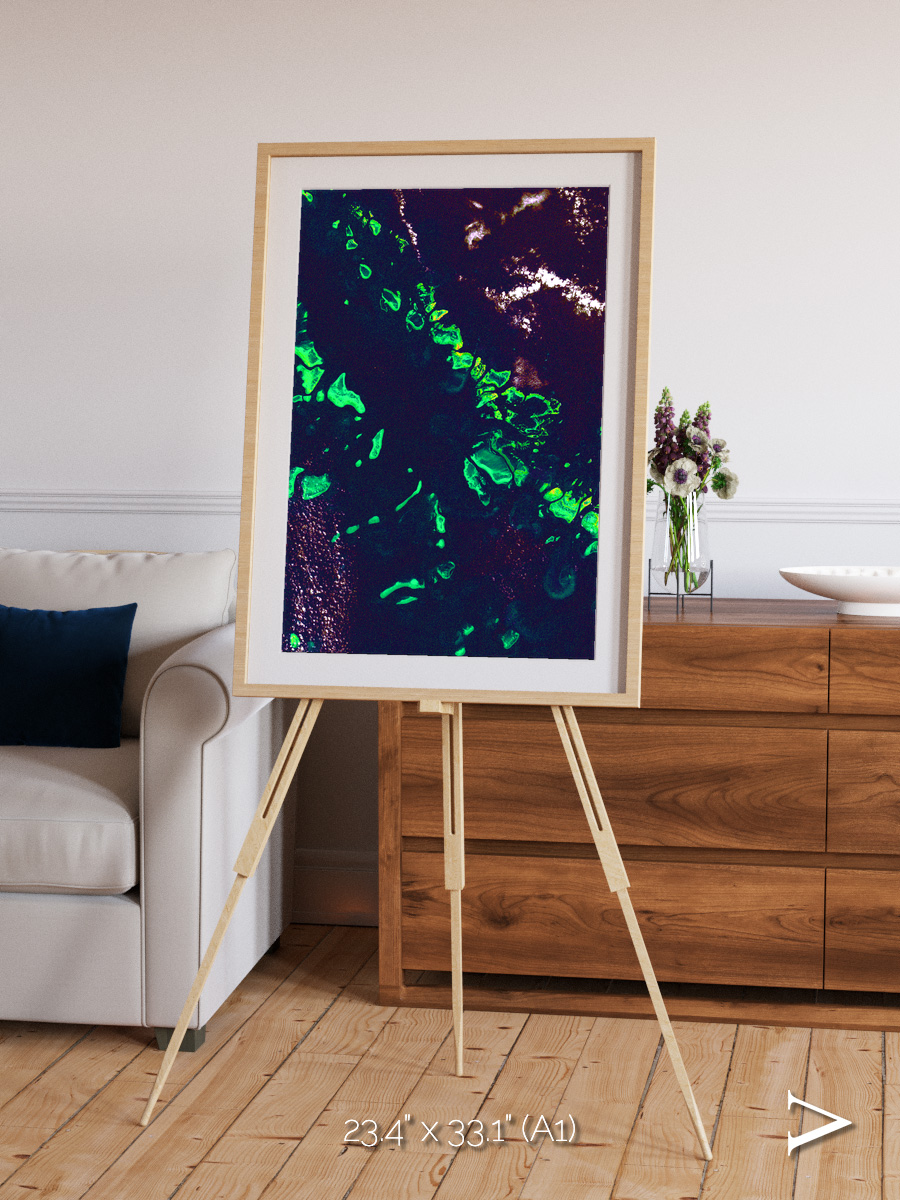 Patterned Ground, Great Barrier Reef Framed & Mounted Print