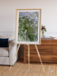 Earth in Colour, Namaqualand Framed & Mounted Print
