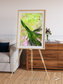 Inland Bloom, Okavango Framed & Mounted Print