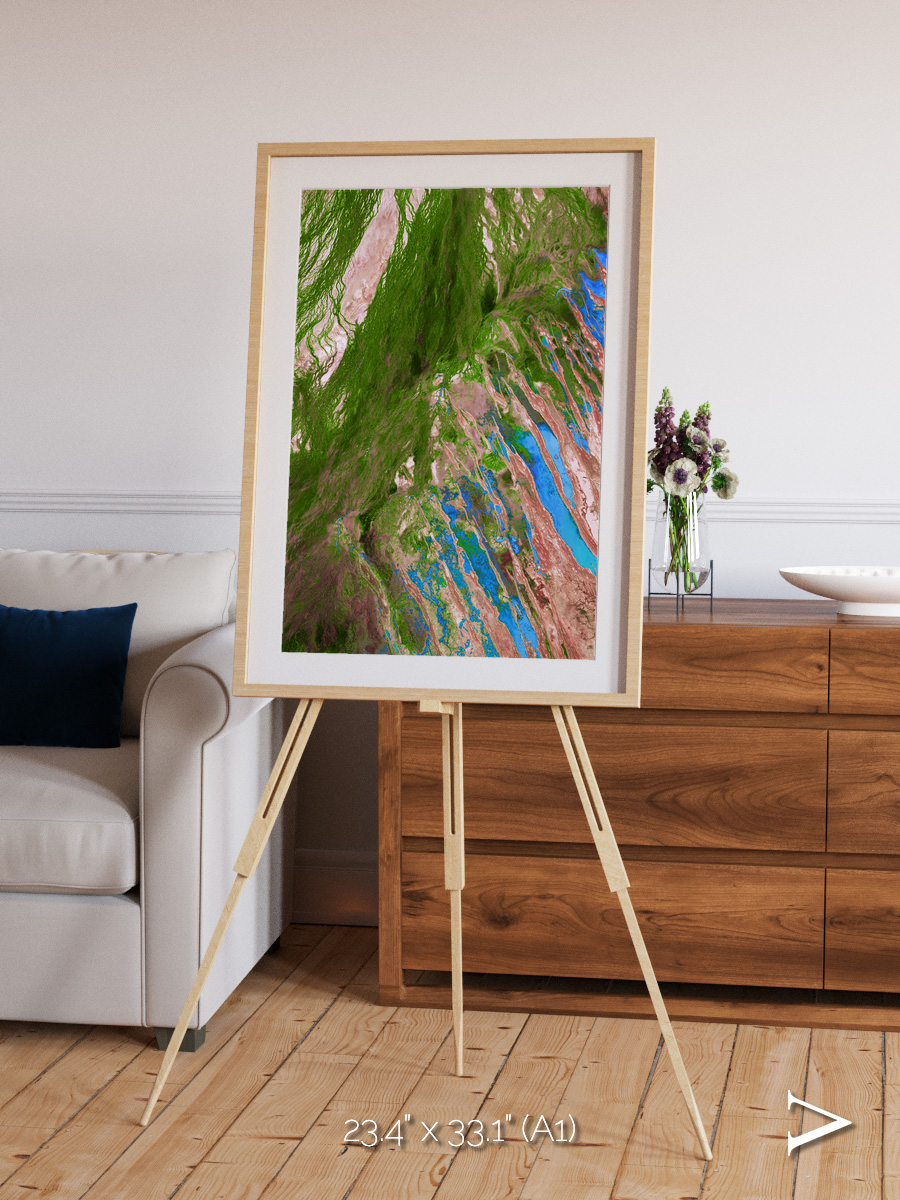 Desert Bloom, Lake Eyre Basin Framed & Mounted Print
