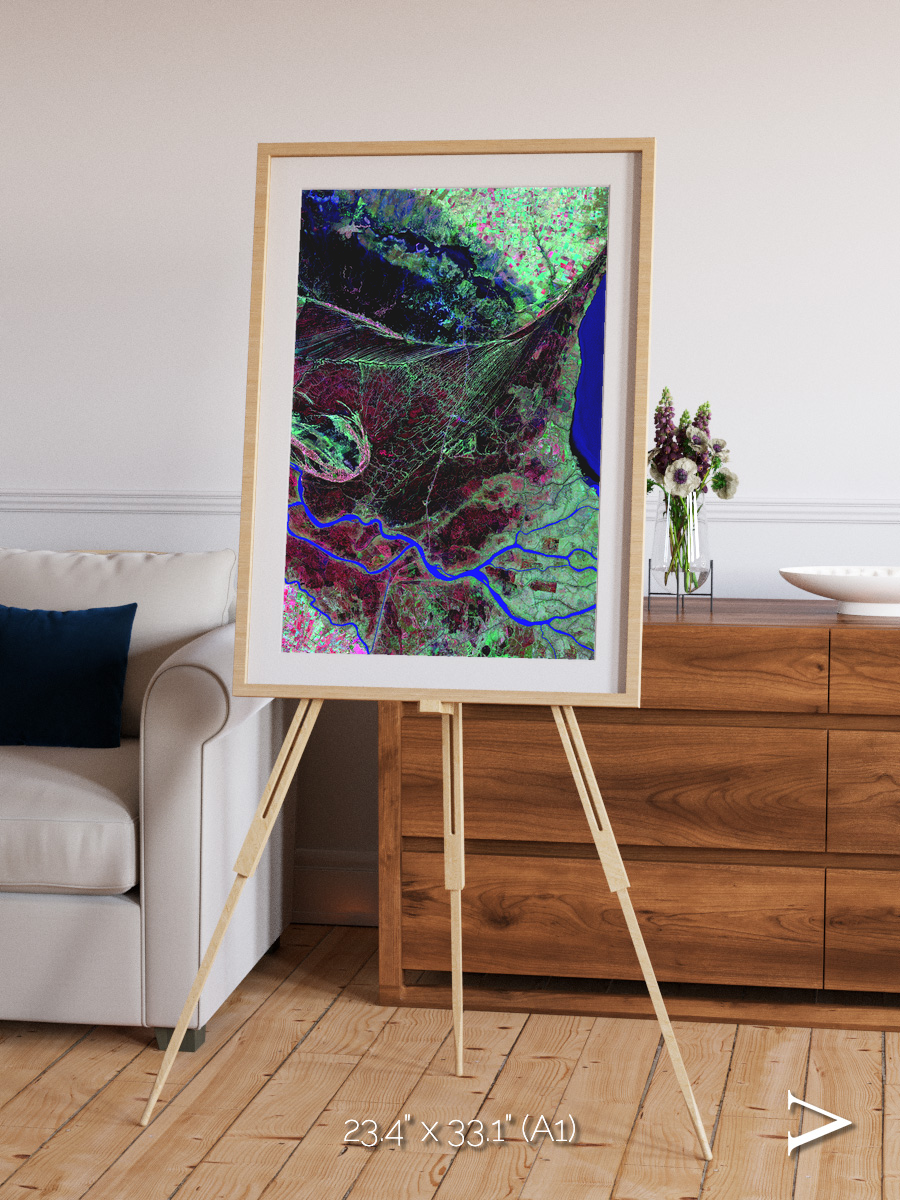 Braided Delta, Parana River Delta Framed & Mounted Print