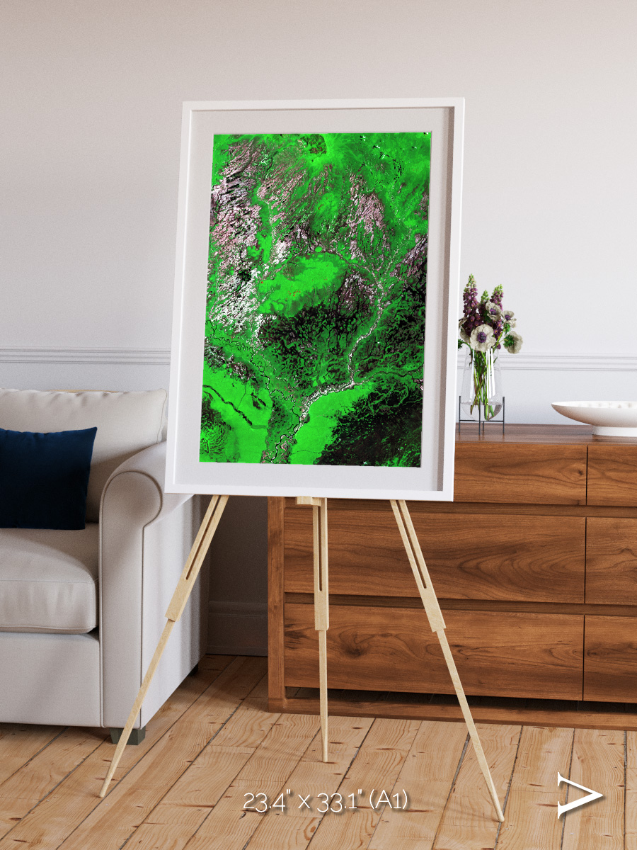 Ribbon River, Araca River Framed & Mounted Print