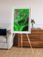 Ribbon River, Araca River Framed & Mounted Print