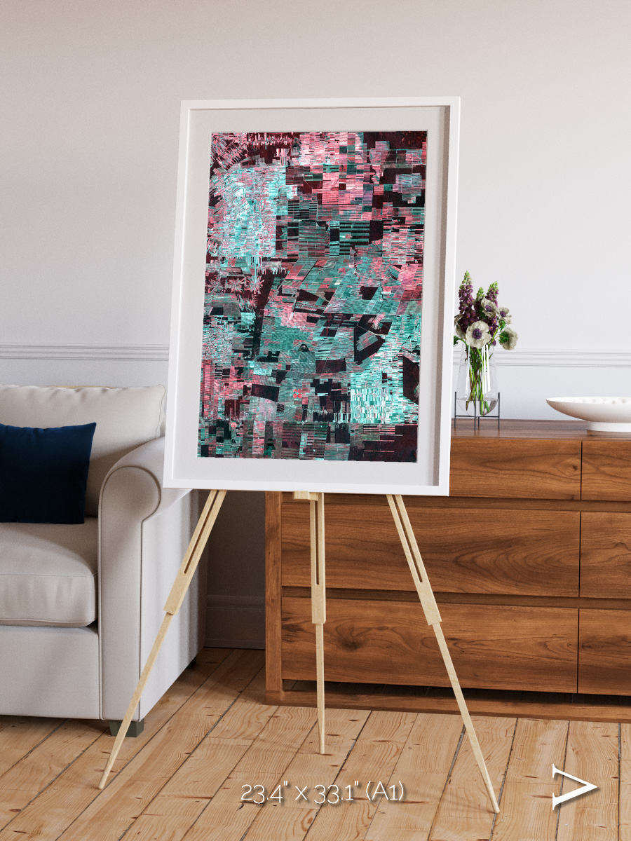 Fractured Canopy, Bolivia Framed & Mounted Print