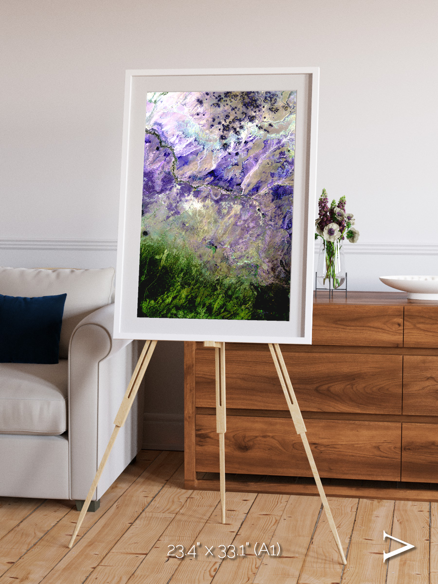 Arid Mosaic, Desert to Forest Framed & Mounted Print