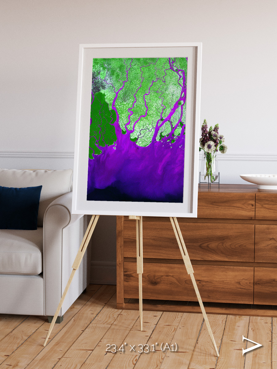 Delta Mosaic, Ganges River Delta Framed & Mounted Print